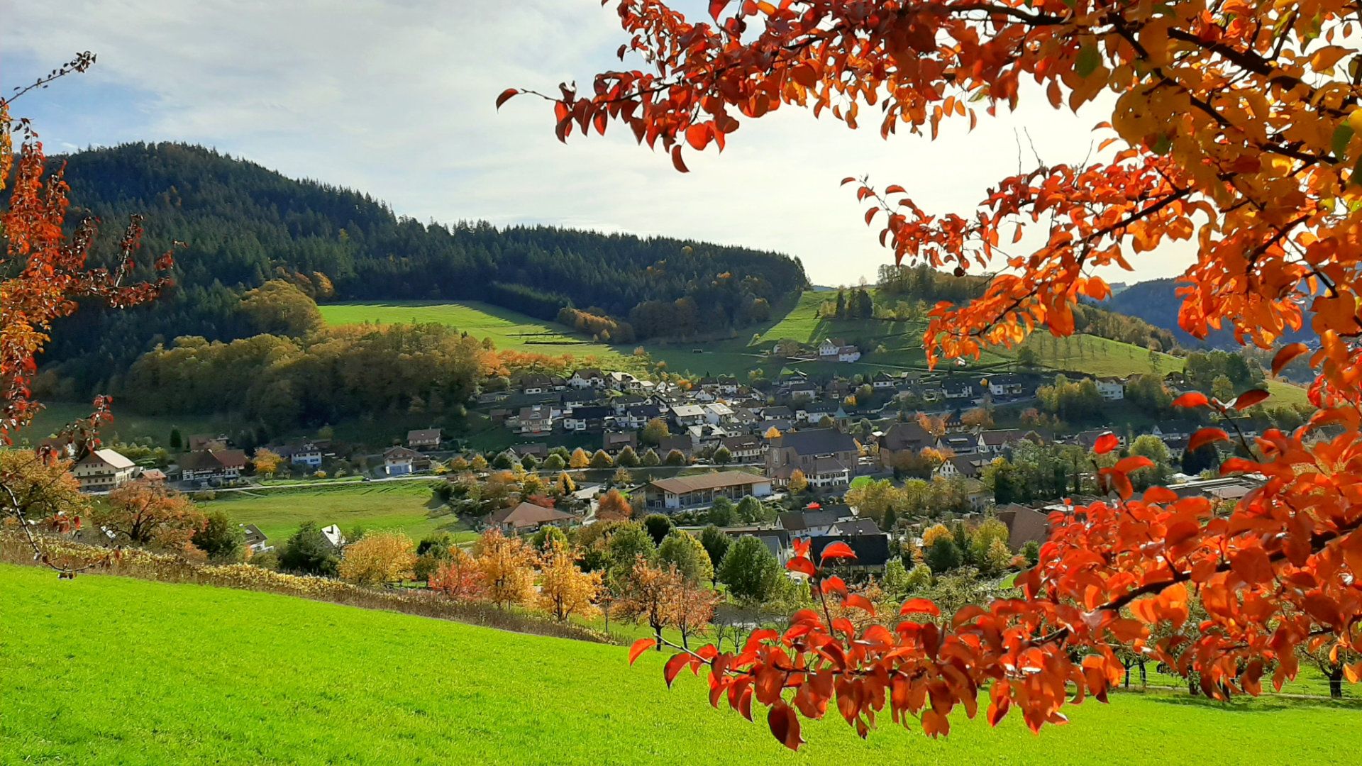 Seebach Achertal & Region
